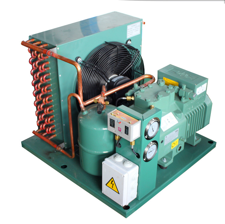  Bitzer Condensing Unit/Refrigeration Unit